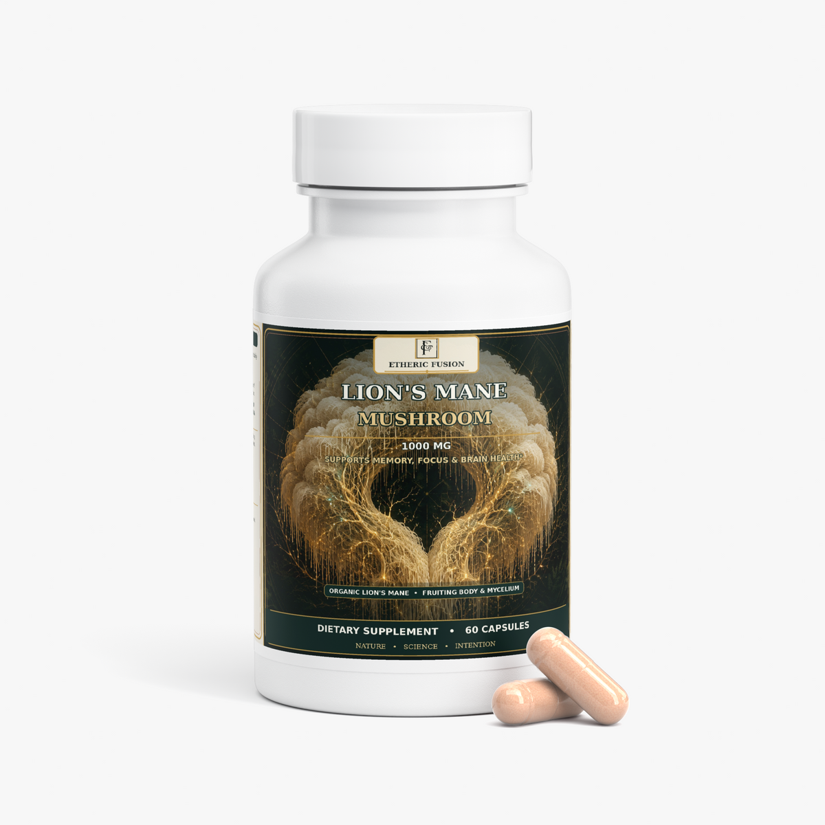 Lion's Mane Mushroom